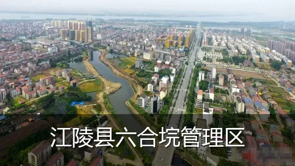 江陵县六合垸管理区